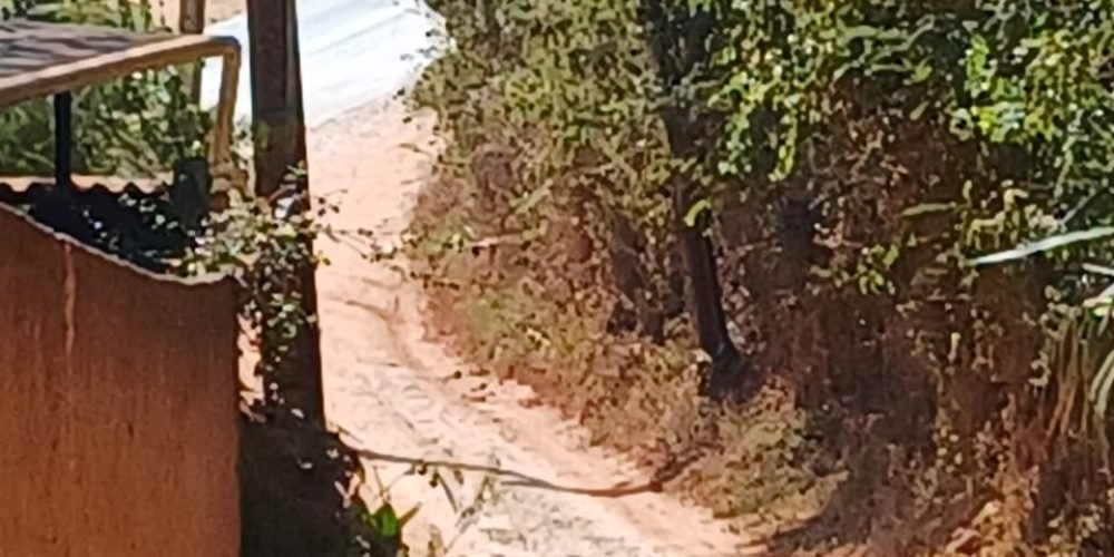 WhatsApp-Image-2025-11-03-at-11.04.21-2