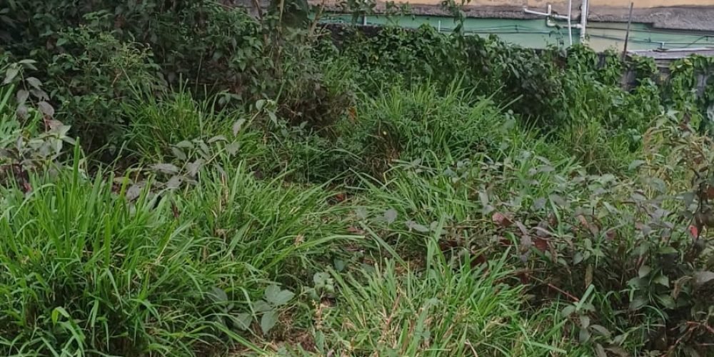 WhatsApp-Image-2025-11-05-at-09.36.07-1