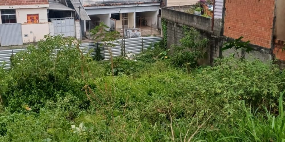 WhatsApp-Image-2025-11-05-at-09.36.07-2