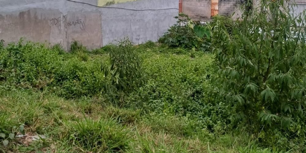 WhatsApp-Image-2025-11-05-at-09.36.07-4