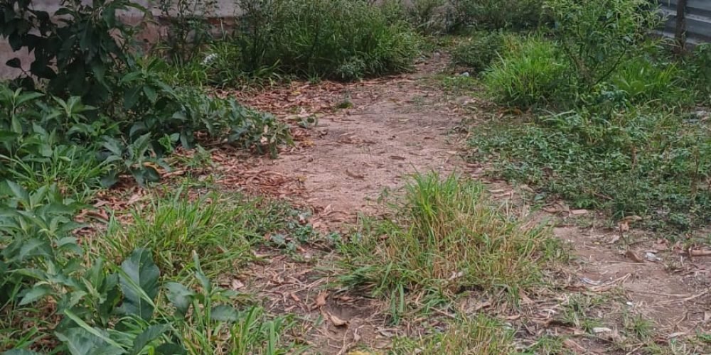 WhatsApp-Image-2025-11-05-at-09.36.07